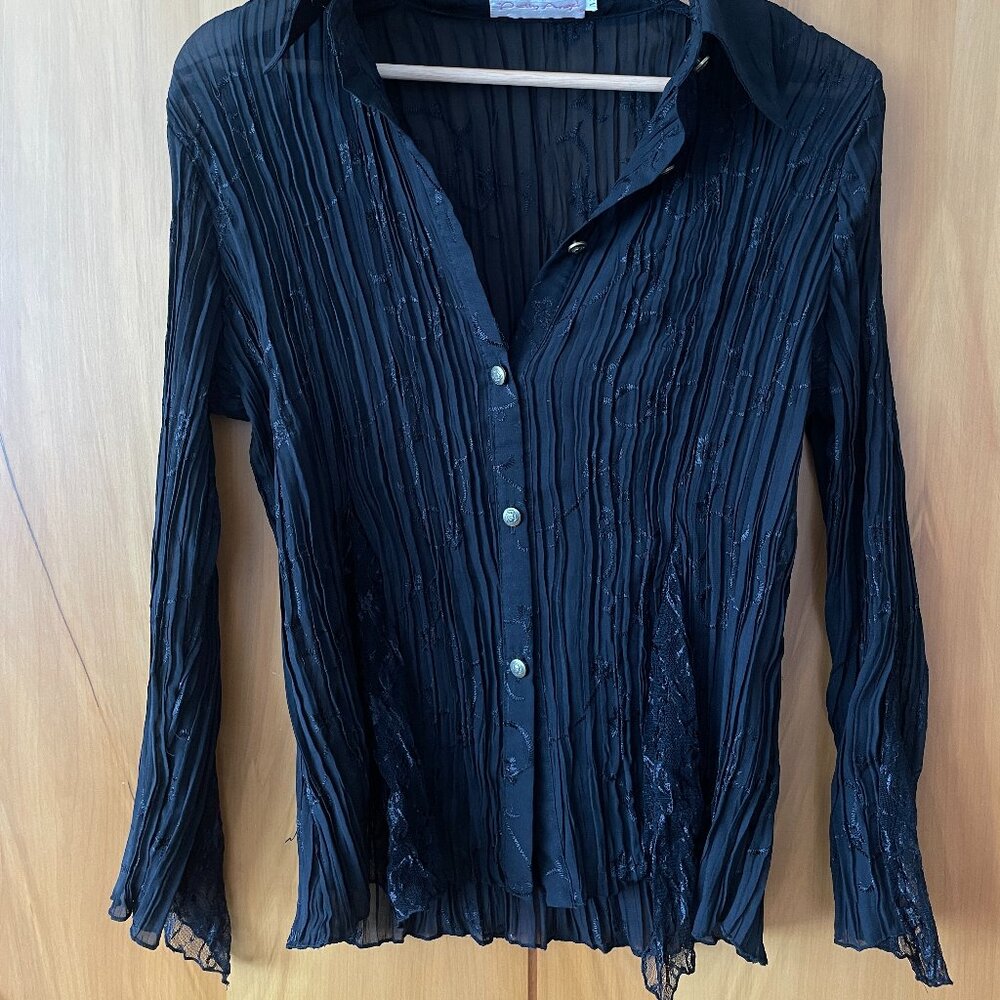 Vintage Pleated Sheer Blouse
